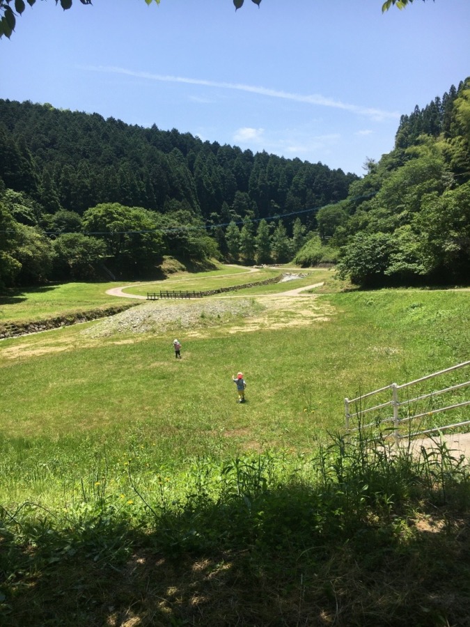 のびのび遊べる場所発見！子供から学ぶコト。