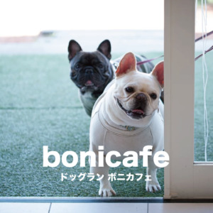 ボニカフェ 【bonicafe】久留米市内の開放感があるドッグラン