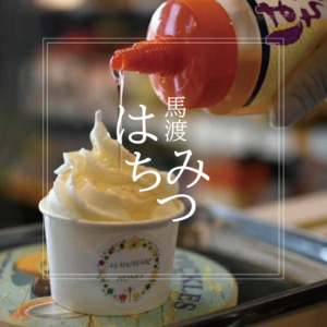 馬渡養蜂場 久留米店-長年の養蜂技術に培われた搾りたて蜂蜜