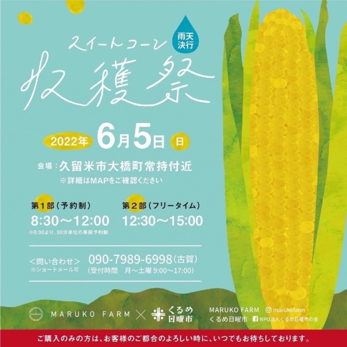 1日限りのスイートコーン収穫祭開催✨（雨天決行）