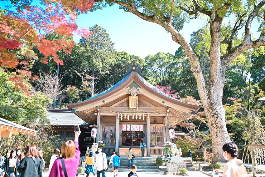 竈門神社に行ってきました