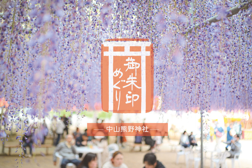 山熊野神社の「中山大藤」