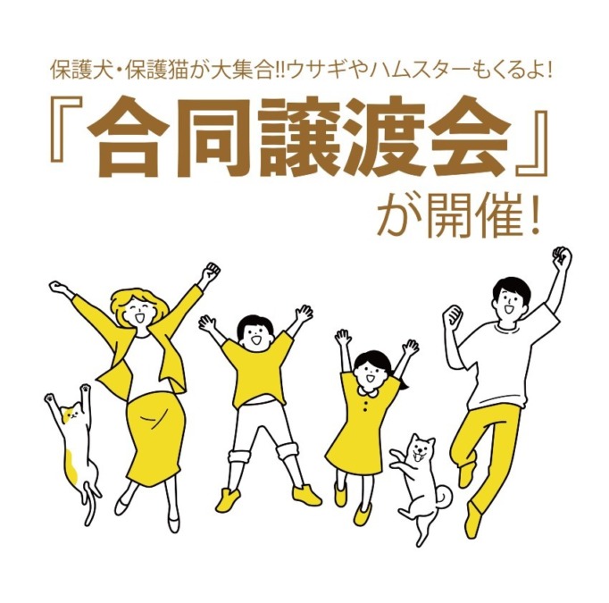 筑後地区で頑張っておられる動物保護団体さん、個人ボランティアさんが『合同譲渡会＆チャリティーマルシェ〜with you〜』が開催！