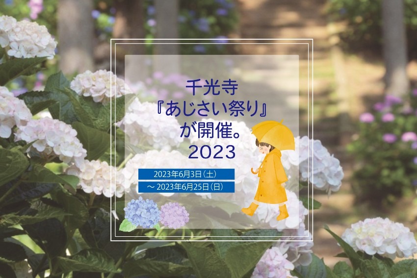 山本町千光寺『あじさい祭り』が開催されます！