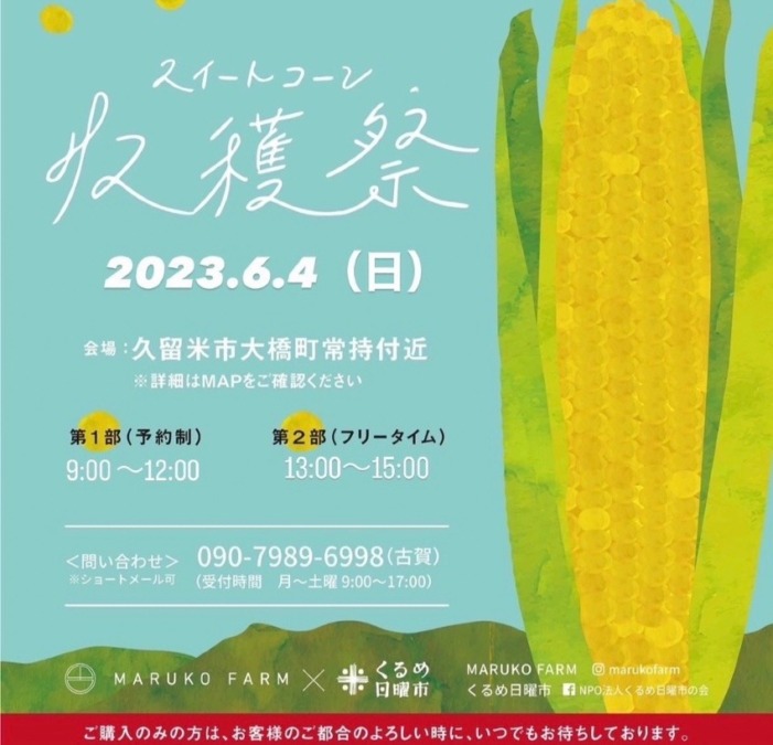 毎年大人気のスイートコーン収穫祭ですよ！