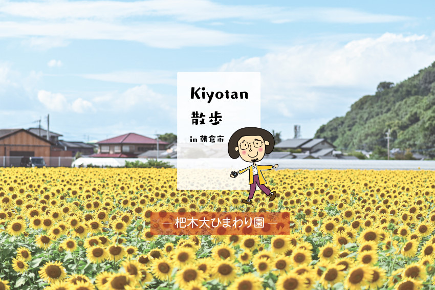 【おでかけ】今が見頃！『杷木の大ひまわり園』約16万本のひまわりが咲きます！