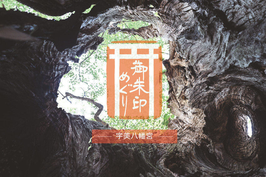 【御朱印巡りとグルメ旅】宇美八幡宮　
