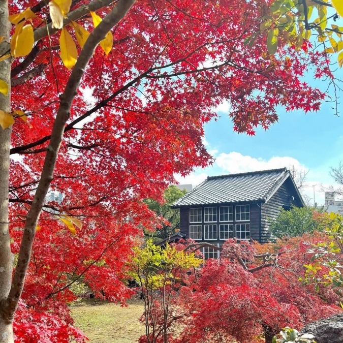 坂本繁二郎旧アトリエを 特別公開中！