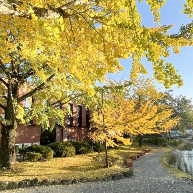 紅葉が見頃ですよ🎵