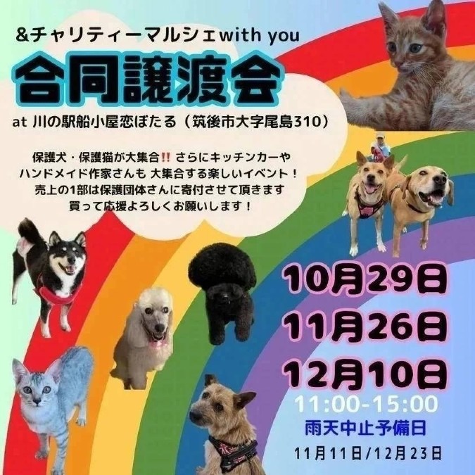合同譲渡会&チャリティーマルシェを開催します✨✨✨