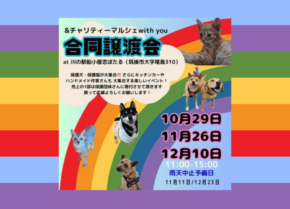【イベント】合同譲渡会＆チャリティーマルシェ～with you～＆道楽市場