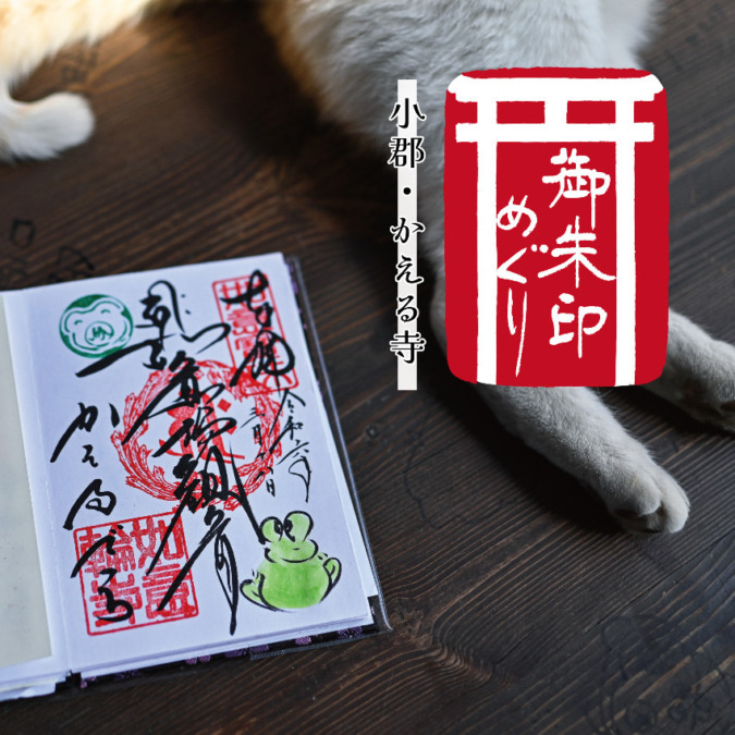 【御朱印とグルメさんぽ】小郡のかえる寺に行ってきました!