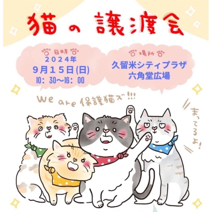 【イベント】猫の譲渡会が9月15日開催!